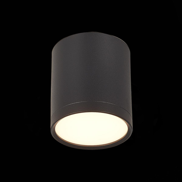 Потолочный светильник ST Luce Rene ST113.432.05