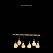 Подвесной светильник EVOLUCE BAGETTI SL1142.403.06