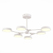 Потолочный светильник Evoluce Monta SLE6003-502-06