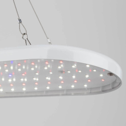 Подвесной светильник для растений Эра FITO-25W-QLED-FLY Б0053062