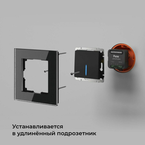 Умное одноканальное реле Elektrostandard 4690389185069 a059324