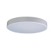Потолочный светильник Loft IT AXEL 10002/24 White