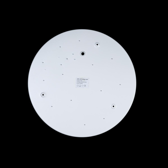 Потолочный светильник Loft IT AXEL 10002/24 White