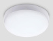 Уличный потолочный светильник Ambrella Light Street ST8626