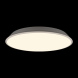 Потолочный светильник Loft IT Brim 10226 White