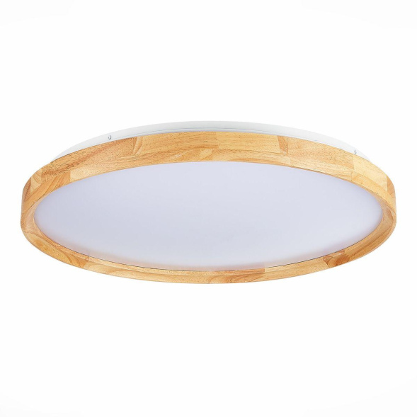 Потолочный светильник Evoluce Delia SLE201382-01