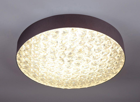 Потолочный светодиодный светильник Escada 10246/1LED