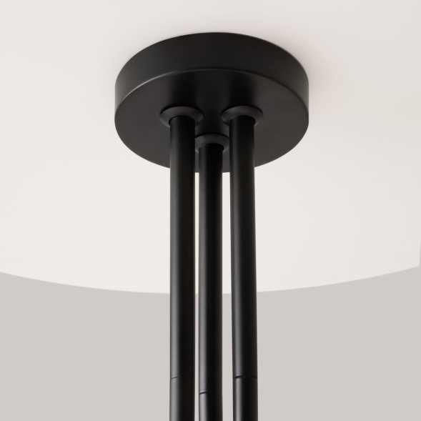 Потолочная люстра Maytoni Status MOD333PL-06B