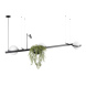 Подвесной светильник Loft IT Jardin 10121/C