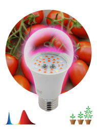 Фитолампа для растений светодиодная ЭРА E27 10W 1310K FITO-10W-RB-E27 Б0050600